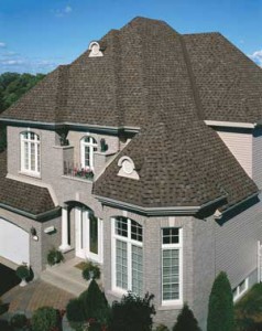 medford roof cleaning company