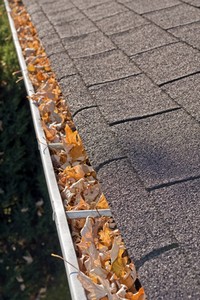 Gutter Cleaning in New Jersey