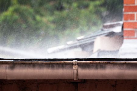 How often should you schedule professional gutter cleaning in new jersey